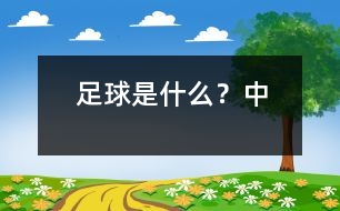 足球是什么？（中）