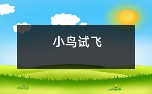 小鳥試飛