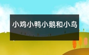 小雞、小鴨、小鵝和小鳥