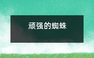 頑強(qiáng)的蜘蛛