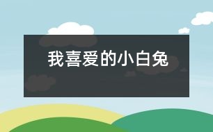 我喜愛的小白兔