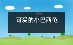 可愛(ài)的小巴西龜