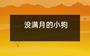 沒(méi)滿(mǎn)月的小狗