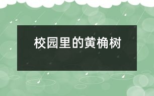 校園里的黃桷樹(shù)