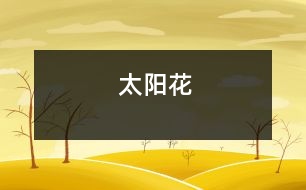 太陽(yáng)花