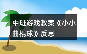 中班游戲教案《小小曲棍球》反思