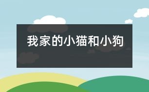 我家的小貓和小狗