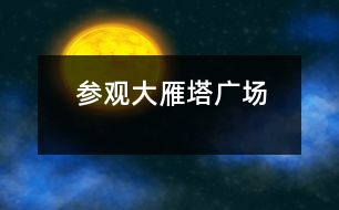 參觀大雁塔廣場(chǎng)