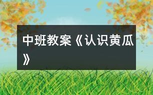 中班教案《認識黃瓜》