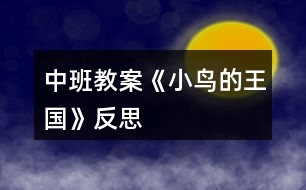 中班教案《小鳥(niǎo)的王國(guó)》反思