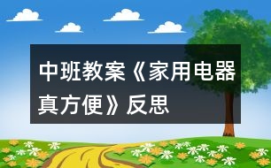 中班教案《家用電器真方便》反思