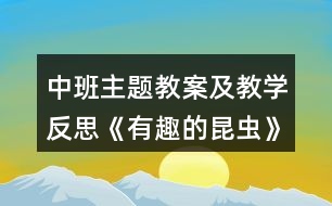 中班主題教案及教學(xué)反思《有趣的昆蟲》