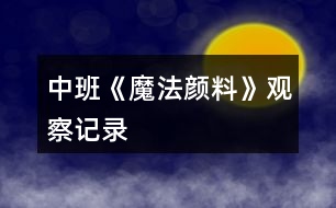 中班《魔法顏料》觀(guān)察記錄