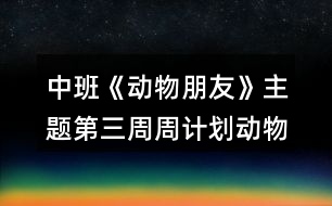 中班《動物朋友》主題第三周周計劃動物秘密多