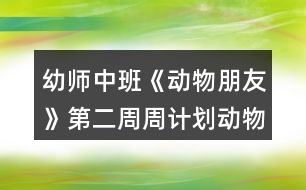 幼師中班《動物朋友》第二周周計劃動物不一樣