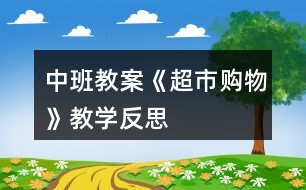 中班教案《超市購物》教學反思