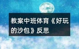 教案中班體育《好玩的沙包》反思