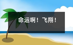 命運?。★w翔！