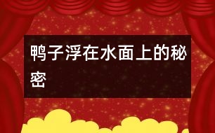 鴨子浮在水面上的秘密