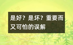 是好？是壞？——重要而又可怕的誤解