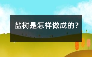 鹽樹是怎樣做成的？