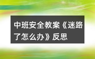 中班安全教案《迷路了怎么辦》反思