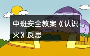 中班安全教案《認識火》反思