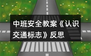 中班安全教案《認(rèn)識(shí)交通標(biāo)志》反思