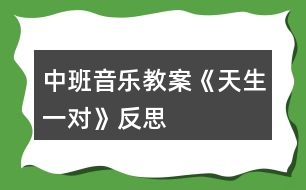 中班音樂教案《天生一對》反思