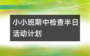 小小班期中檢查半日活動計(jì)劃