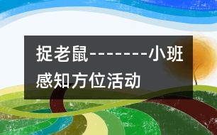 捉老鼠-------小班感知方位活動