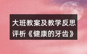 大班教案及教學(xué)反思評析《健康的牙齒》