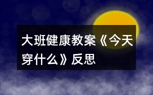 大班健康教案《今天穿什么》反思