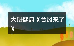 大班健康《臺(tái)風(fēng)來(lái)了》