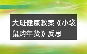 大班健康教案《小袋鼠購年貨》反思