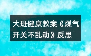 大班健康教案《煤氣開關(guān)不亂動》反思