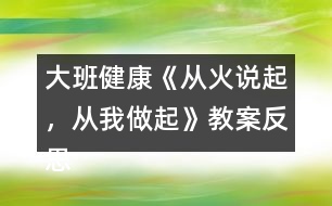 大班健康《從火說起，從我做起》教案反思