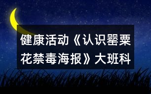 健康活動《認(rèn)識罌粟花（禁毒海報）》大班科學(xué)教案反思