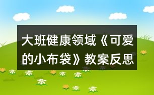 大班健康領(lǐng)域《可愛(ài)的小布袋》教案反思