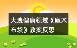 大班健康領域《魔術布袋》教案反思