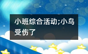 小班綜合活動;小鳥受傷了