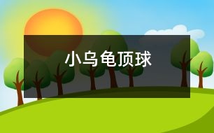 小烏龜頂球