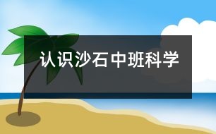 認識沙石（中班科學(xué)）