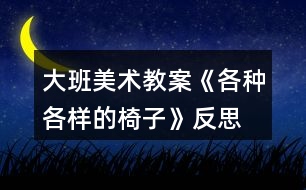 大班美術教案《各種各樣的椅子》反思