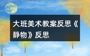 大班美術(shù)教案反思《靜物》反思