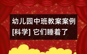 幼兒園中班教案案例[科學] 它們睡著了