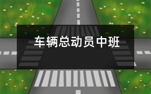 車(chē)輛總動(dòng)員（中班）