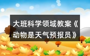 大班科學領(lǐng)域教案《動物是天氣預(yù)報員》反思