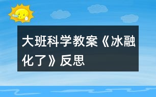 大班科學教案《冰融化了》反思