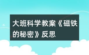 大班科學(xué)教案《磁鐵的秘密》反思